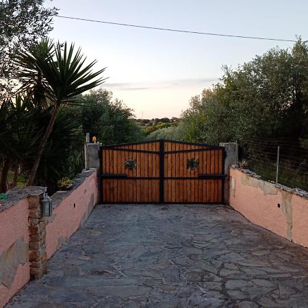 Villa Relax Tra Gli Ulivi Алгеро Екстериор снимка