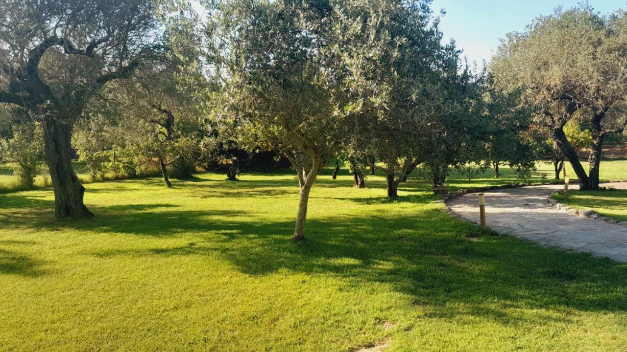 Villa Relax Tra Gli Ulivi Алгеро Екстериор снимка